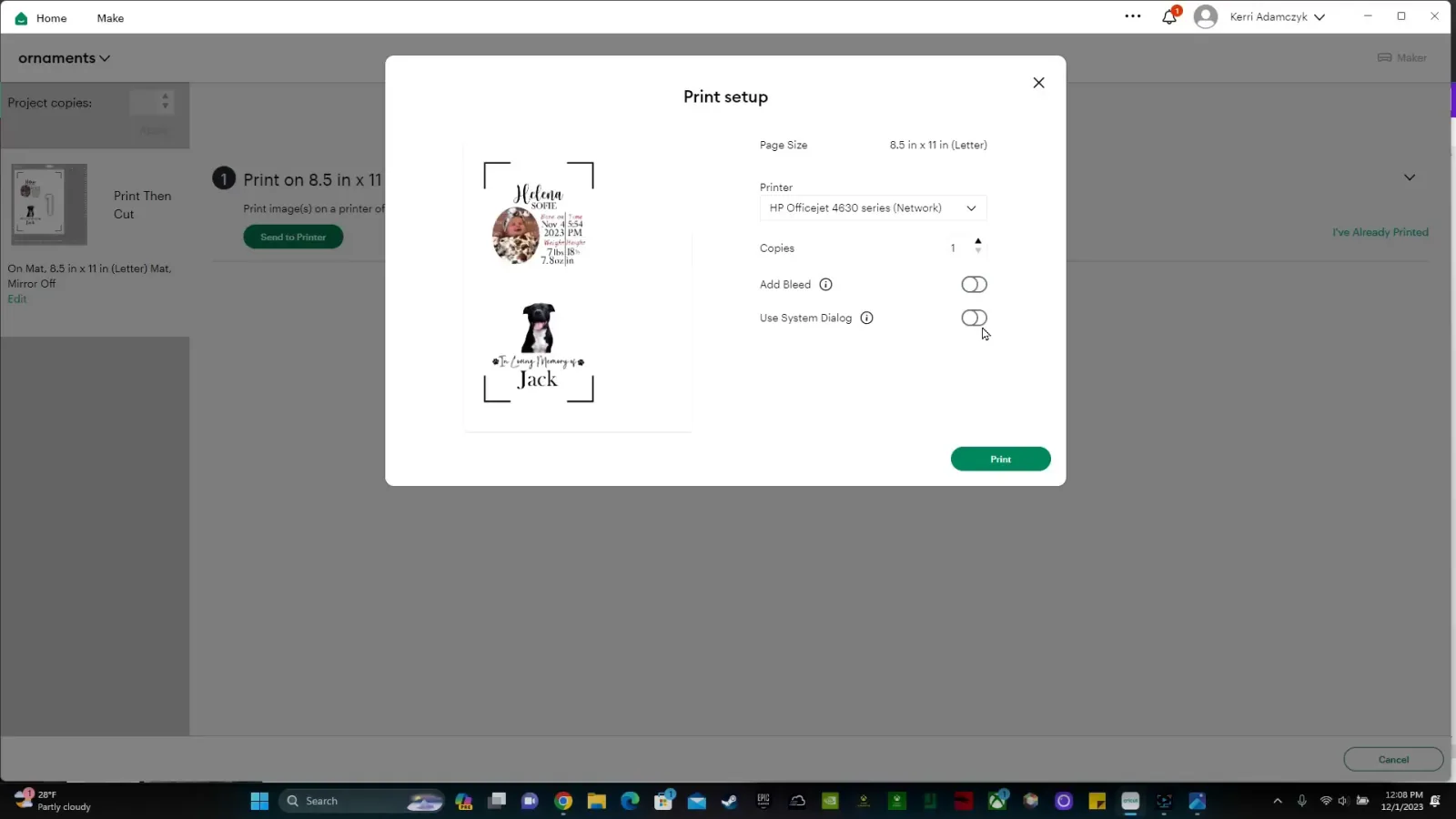 Printer settings for photo paper