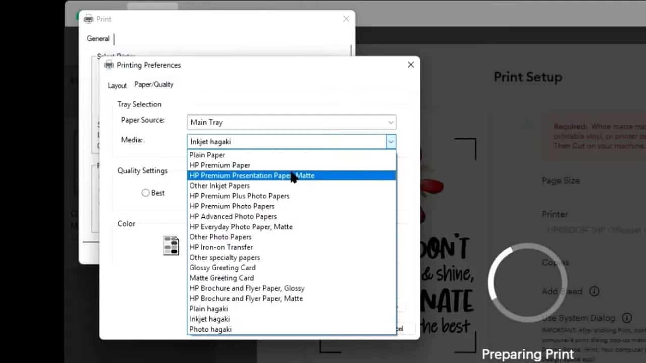 Printer settings window with paper type options for sublimation printing