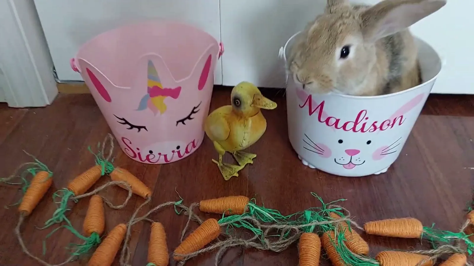 Two personalized Easter baskets with kids names in the Samantha Cricut font, one holding a real rabbit