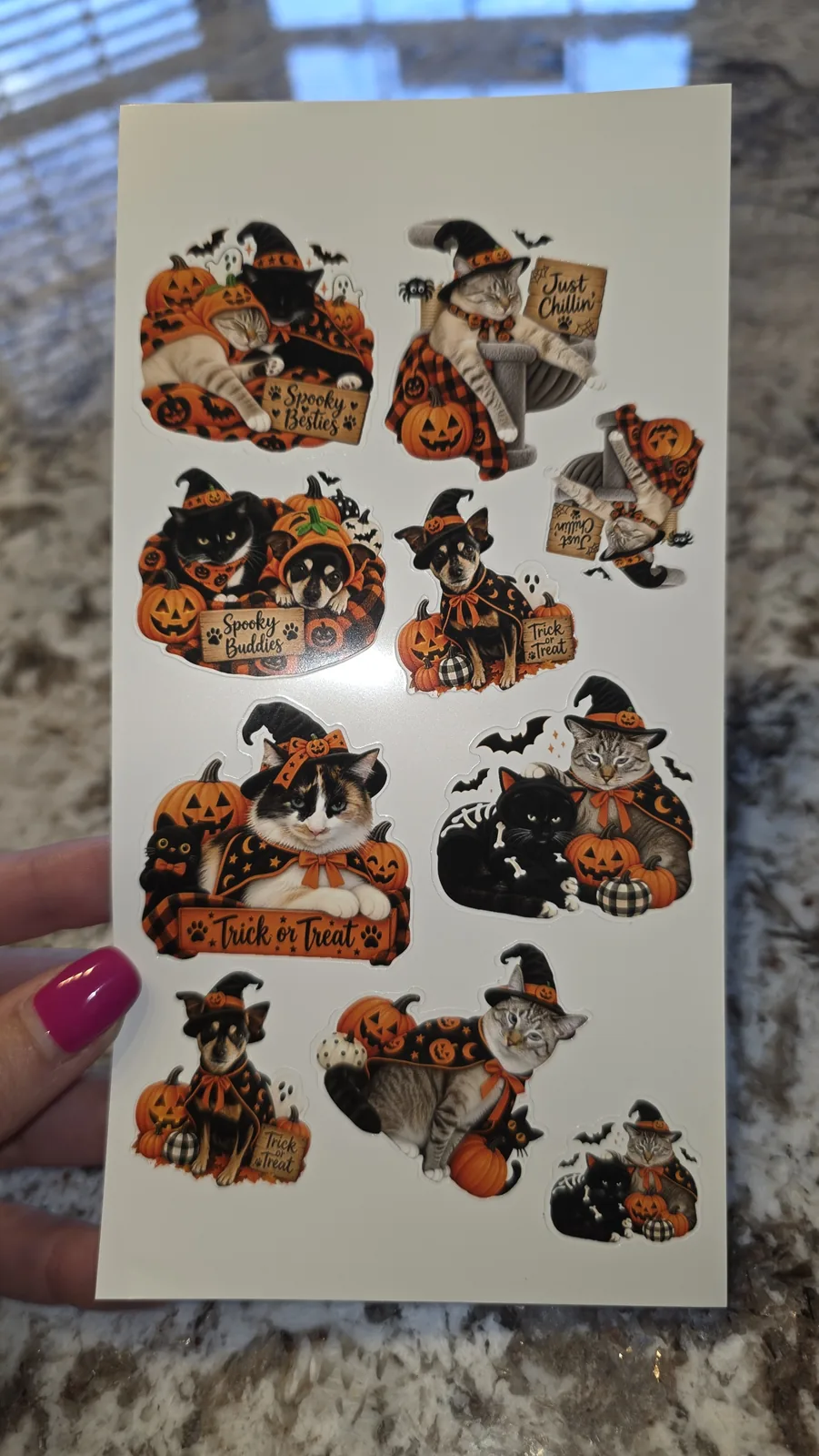 Halloween pet stickers printed and cut on the Cricut StickerPix Print + Cut