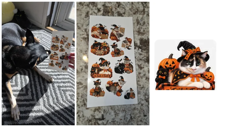 Homemade Halloween photo stickers of cats and a dog, printed and cut from pet photos